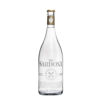 Piz Sardona (2) mittel CO2